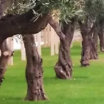 Agrumare Farm Κατάλυμα σε φάρμα