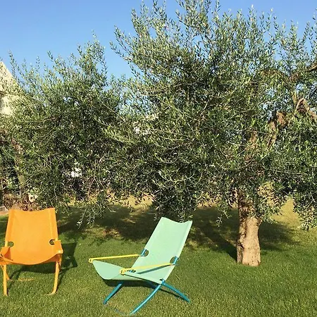 Vakantieboerderij Agrumare Farm *