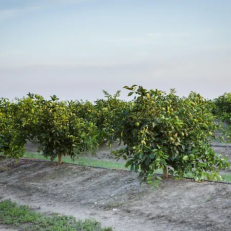 Agrumare Farm Vakantieboerderij
