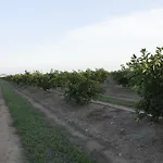 Agrumare Farm Alloggio per agriturismo Marina Di Pisticci