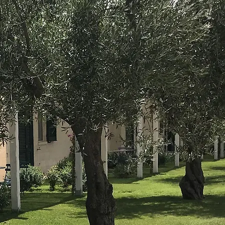 Agrumare Farm Фермерский дом *