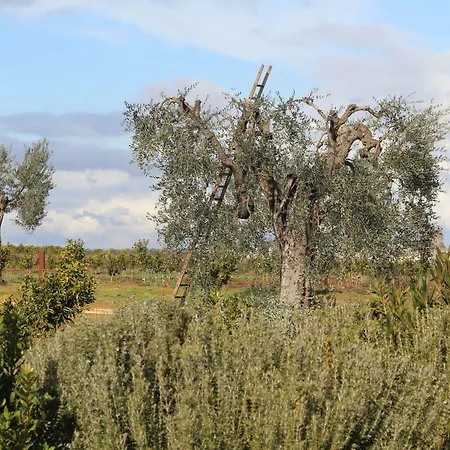 Фермерский дом Agrumare Farm *