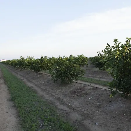 Agrumare Farm Agroturismo Marina Di Pisticci