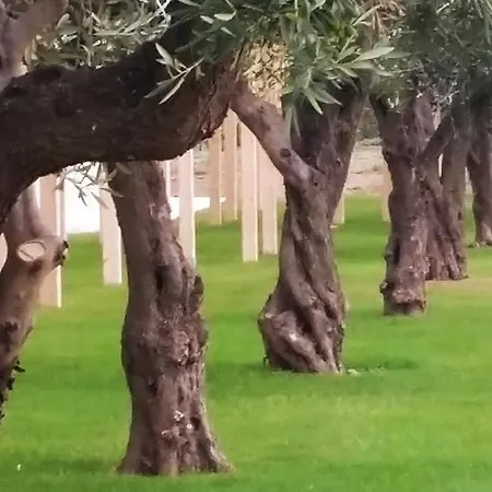 Agrumare Farm Agroturismo